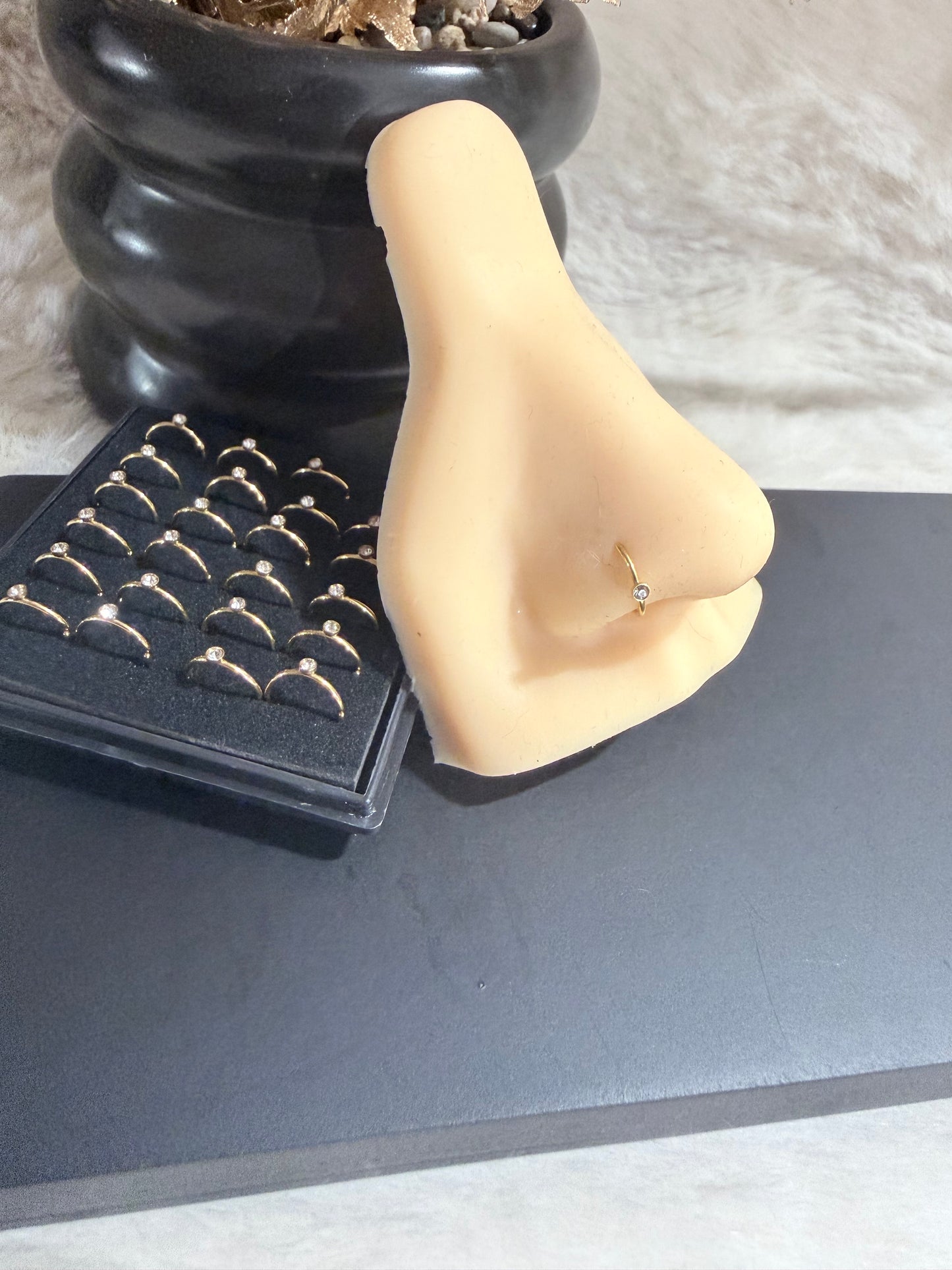 PN101