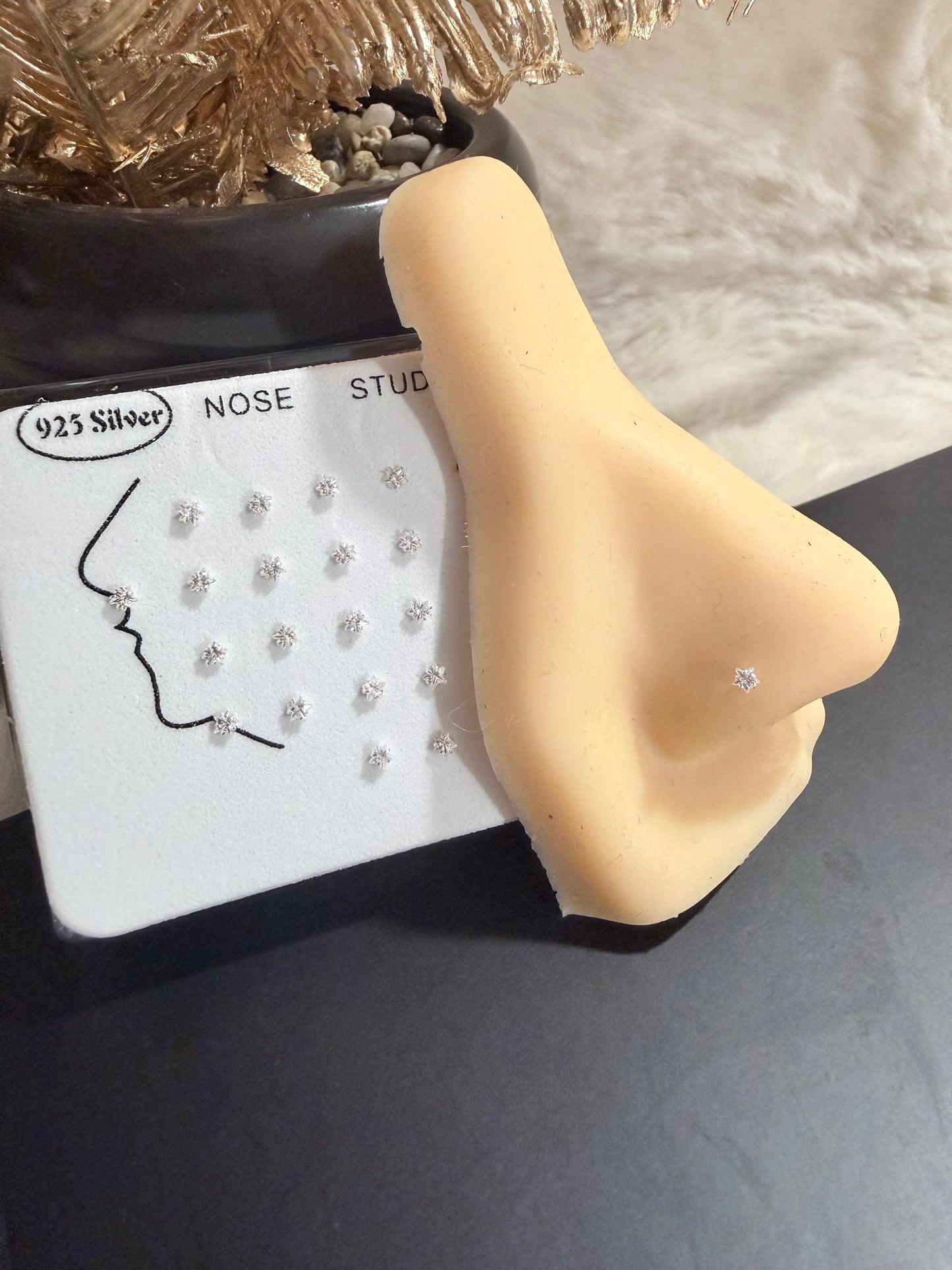 PN117